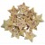 White Stars 